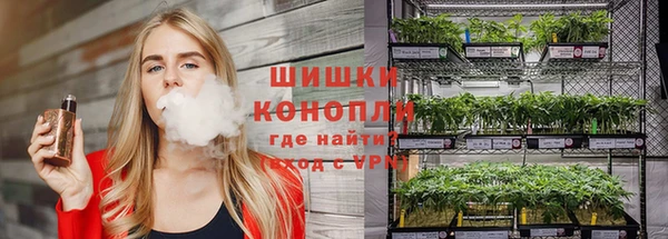 ПСИЛОЦИБИНОВЫЕ ГРИБЫ Козельск