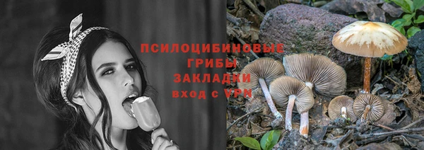 сатива Алексин