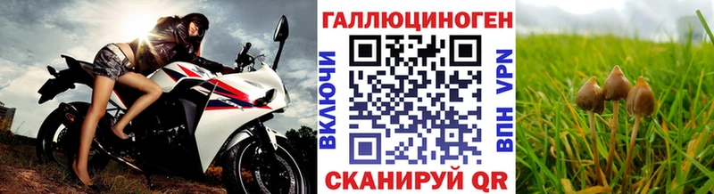 Галлюциногенные грибы Psilocybine cubensis shop Telegram Цоци-Юрт