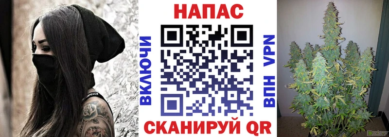 KRAKEN ONION  наркошоп  Цоци-Юрт  МАРИХУАНА OG Kush 